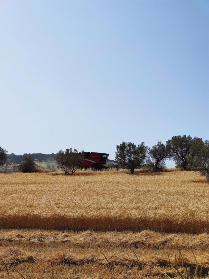 Podere Frassineto Campli Exterior foto